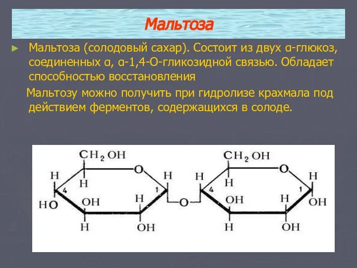 Мальтоза Мальтоза (солодовый сахар). Состоит из двух α-глюкоз, соединенных α, α-1,4-О-гликозидной