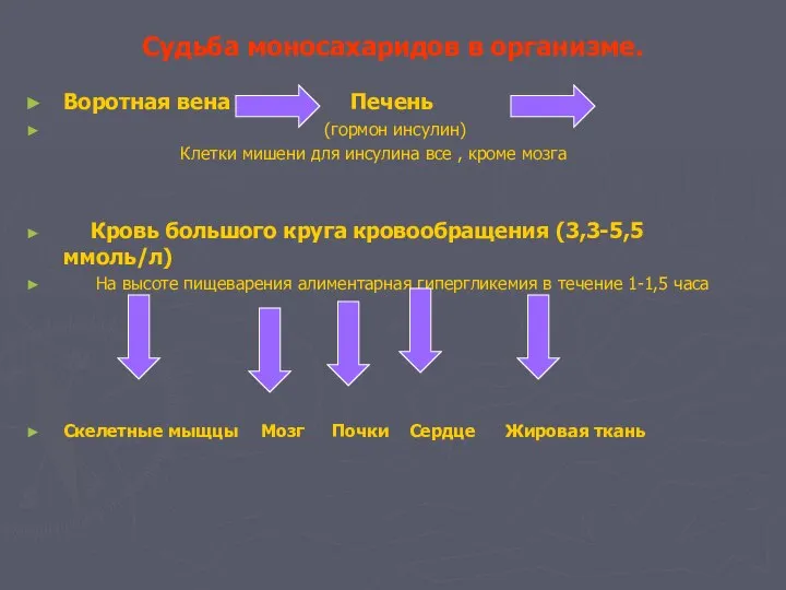 Судьба моносахаридов в организме. Воротная вена Печень (гормон инсулин) Клетки мишени