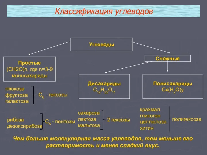 Углеводы Простые (СН2О)n, где n=3-9 моносахариды Сложные Дисахариды С12Н22О11 Полисахариды Сx(Н2О)y