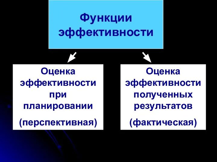 Функции эффективности Оценка эффективности при планировании (перспективная) Оценка эффективности полученных результатов (фактическая)