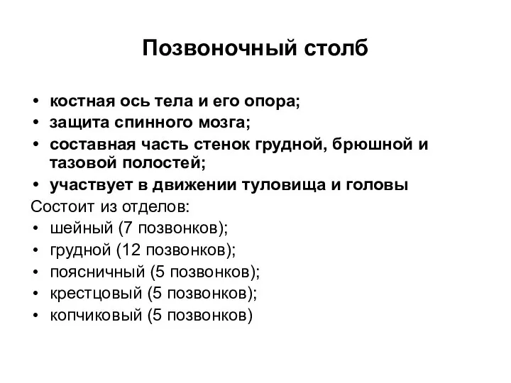 Позвоночный столб костная ось тела и его опора; защита спинного мозга;