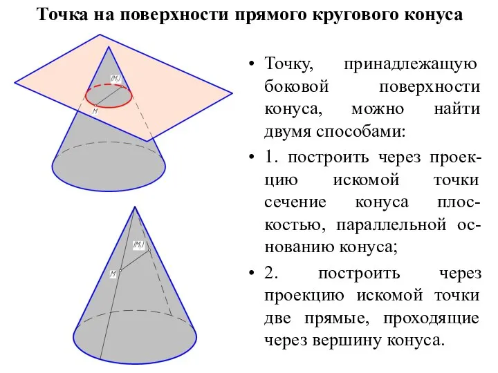 Точка на поверхности прямого кругового конуса Точку, принадлежащую боковой поверхности конуса,