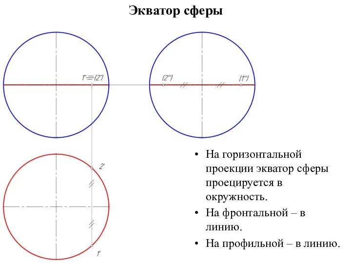 Экватор сферы На горизонтальной проекции экватор сферы проецируется в окружность. На