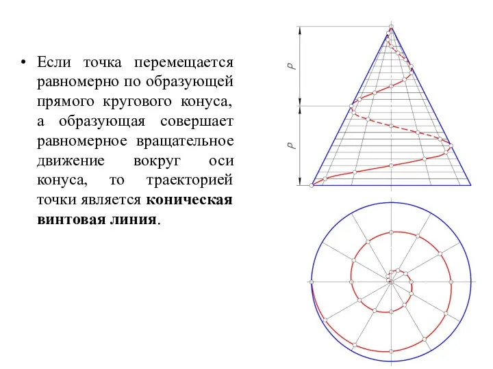 Если точка перемещается равномерно по образующей прямого кругового конуса, а образующая