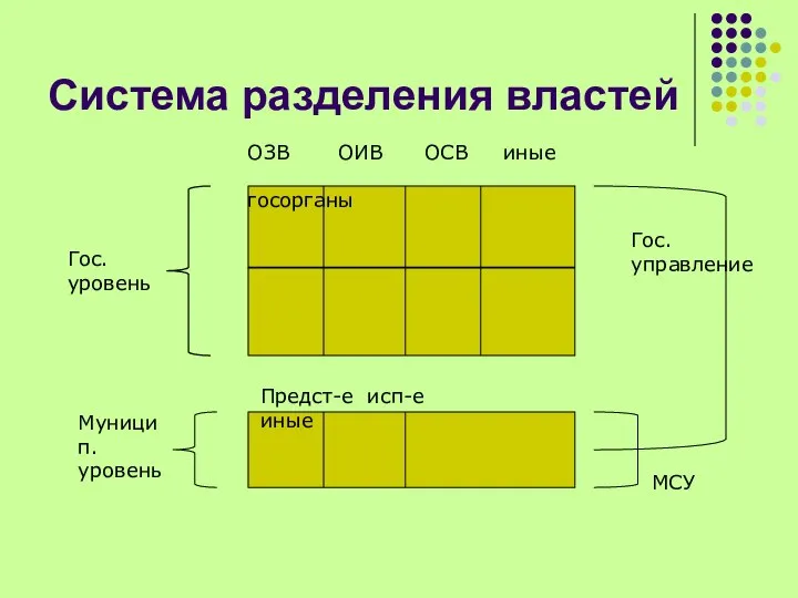 Система разделения властей Гос. уровень Муницип. уровень Гос.управление МСУ ОЗВ ОИВ