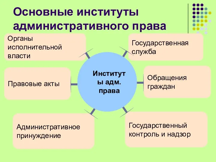 Основные институты административного права Органы исполнительной власти Государственная служба Обращения граждан