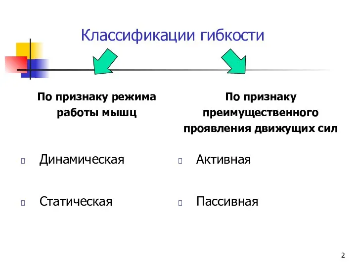 Классификации гибкости