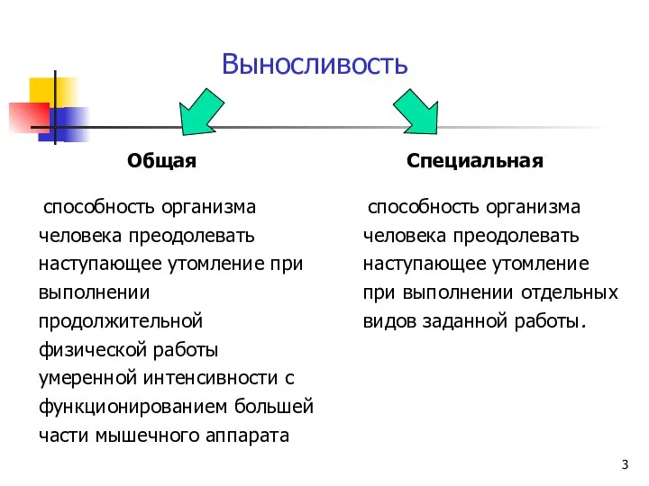 Выносливость