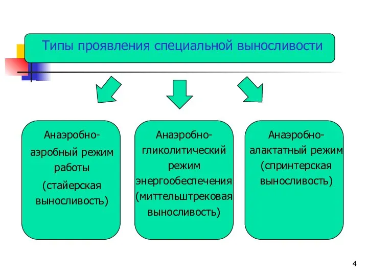 Типы проявления специальной выносливости