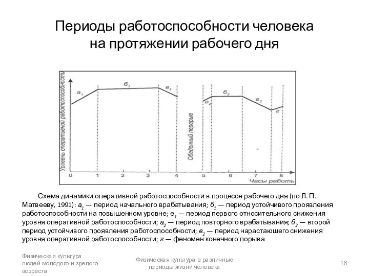 Периоды работоспособности человека на протяжении рабочего дня Схема динамики оперативной работоспособности