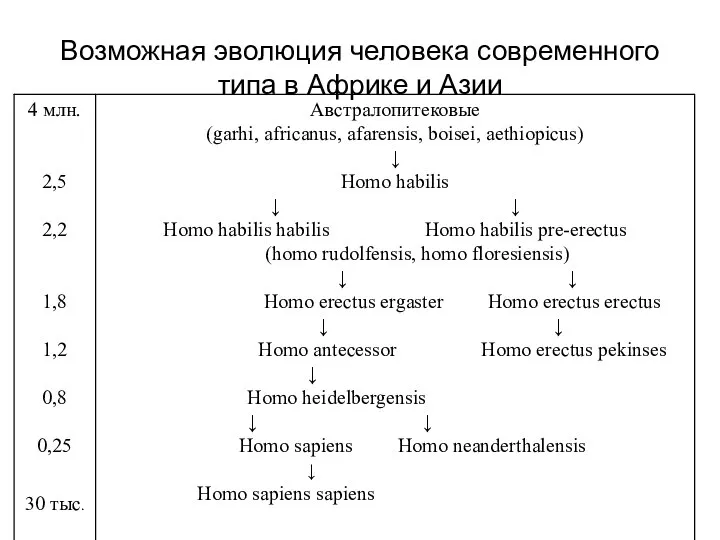 Возможная эволюция человека современного типа в Африке и Азии