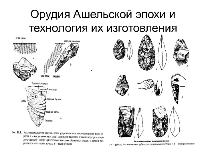 Орудия Ашельской эпохи и технология их изготовления