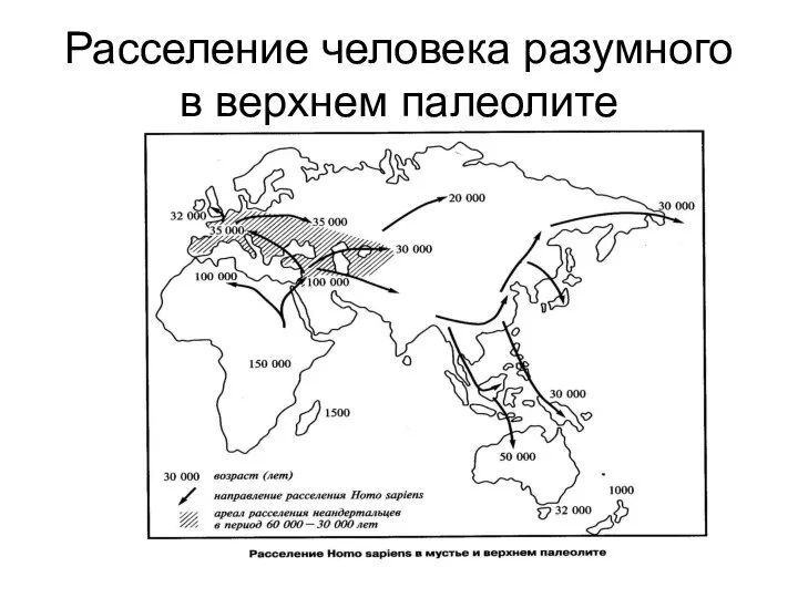 Расселение человека разумного в верхнем палеолите