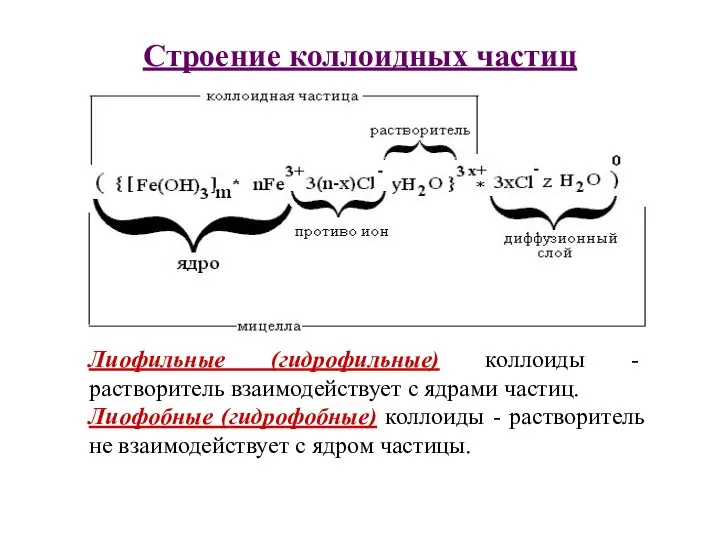 Строение коллоидных частиц Лиофильные (гидрофильные) коллоиды - растворитель взаимодействует с ядрами