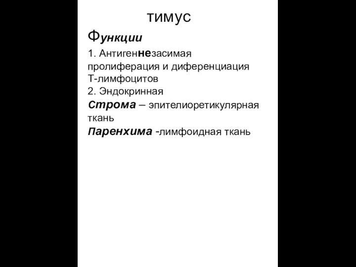 тимус Функции 1. Антигеннезасимая пролиферация и диференциация Т-лимфоцитов 2. Эндокринная Строма