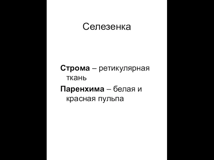 Cелезенка Строма – ретикулярная ткань Паренхима – белая и красная пульпа