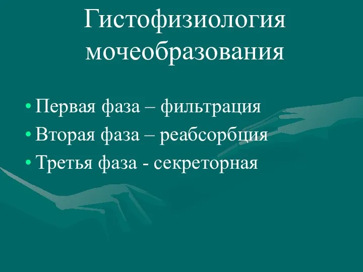 Гистофизиология мочеобразования Первая фаза – фильтрация Вторая фаза – реабсорбция Третья фаза - секреторная