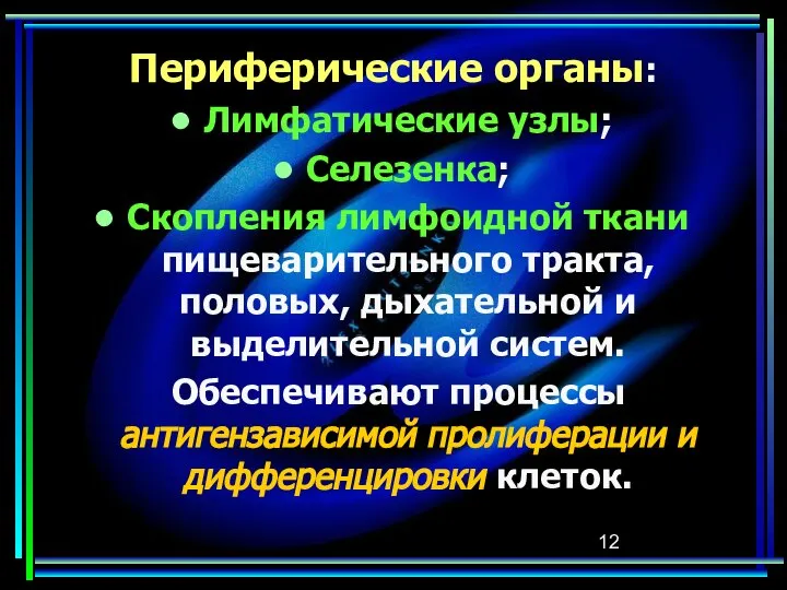 Периферические органы: Лимфатические узлы; Селезенка; Скопления лимфоидной ткани пищеварительного тракта, половых,