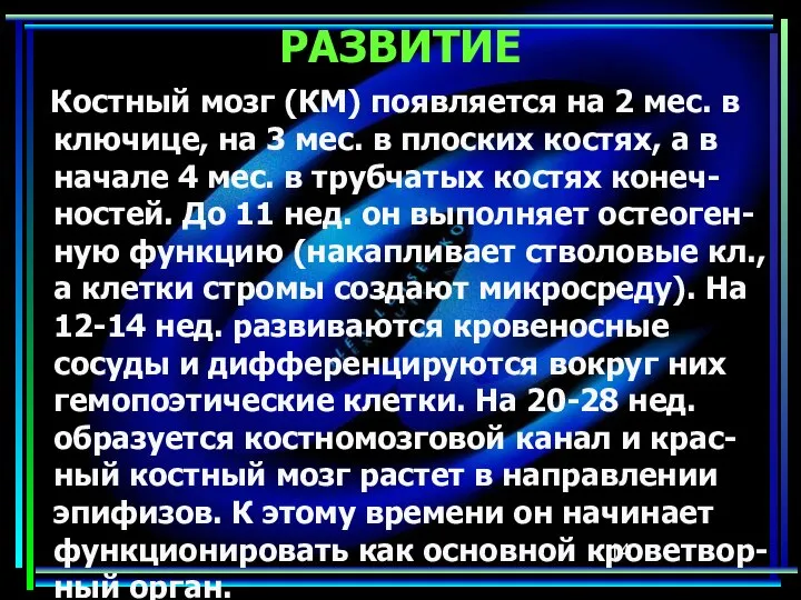 РАЗВИТИЕ Костный мозг (КМ) появляется на 2 мес. в ключице, на