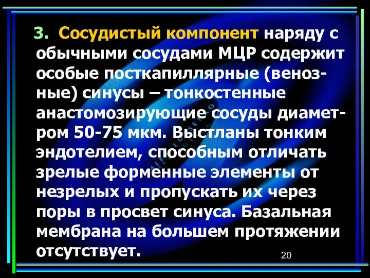 3. Сосудистый компонент наряду с обычными сосудами МЦР содержит особые посткапиллярные