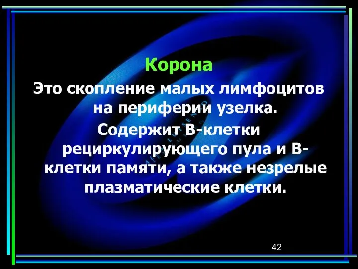 Корона Это скопление малых лимфоцитов на периферии узелка. Содержит В-клетки рециркулирующего