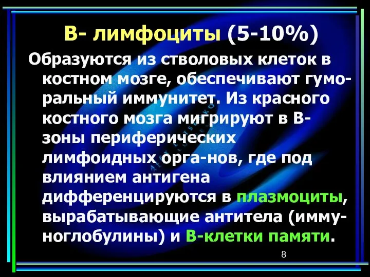 В- лимфоциты (5-10%) Образуются из стволовых клеток в костном мозге, обеспечивают