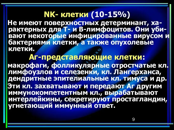 NK- клетки (10-15%) Не имеют поверхностных детерминант, ха-рактерных для Т- и