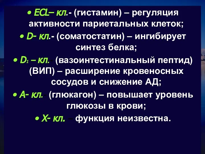 ЕСL– кл.- (гистамин) – регуляция активности париетальных клеток; D- кл.- (соматостатин)