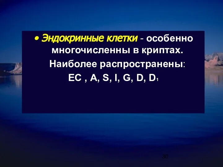 Эндокринные клетки - особенно многочисленны в криптах. Наиболее распространены: ЕС ,