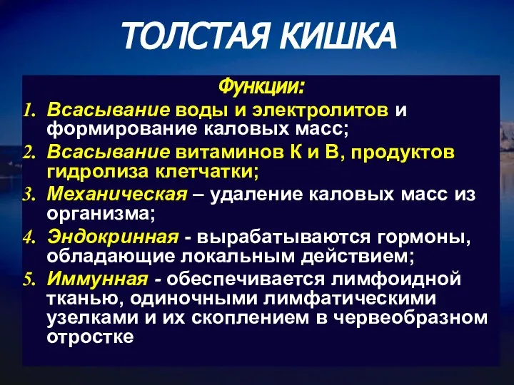 ТОЛСТАЯ КИШКА Функции: Всасывание воды и электролитов и формирование каловых масс;