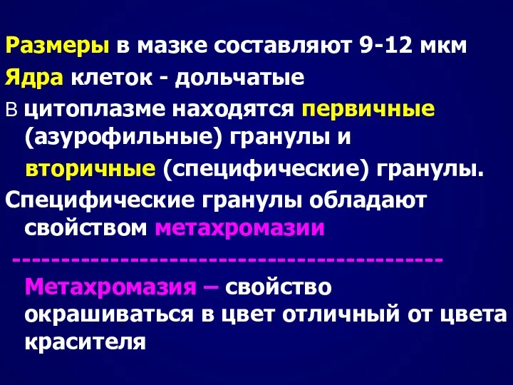 Размеры в мазке составляют 9-12 мкм Ядра клеток - дольчатые В