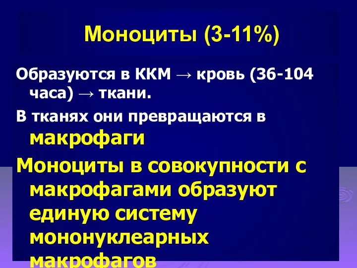 Образуются в ККМ → кровь (36-104 часа) → ткани. В тканях