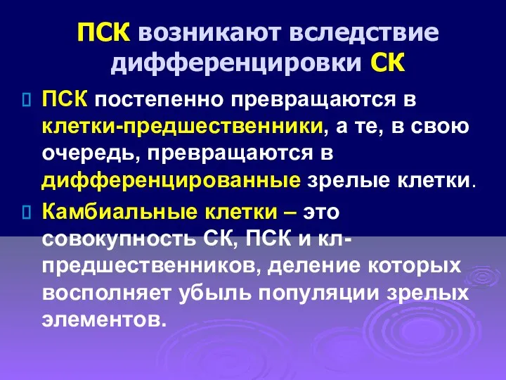 ПСК возникают вследствие дифференцировки СК ПСК постепенно превращаются в клетки-предшественники, а