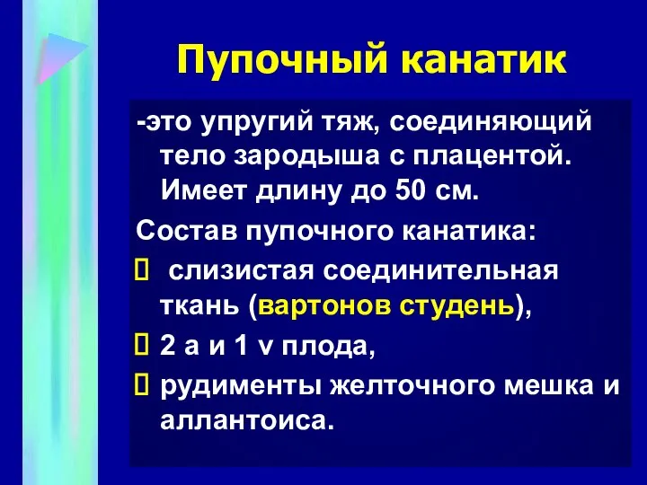 Пупочный канатик -это упругий тяж, соединяющий тело зародыша с плацентой. Имеет