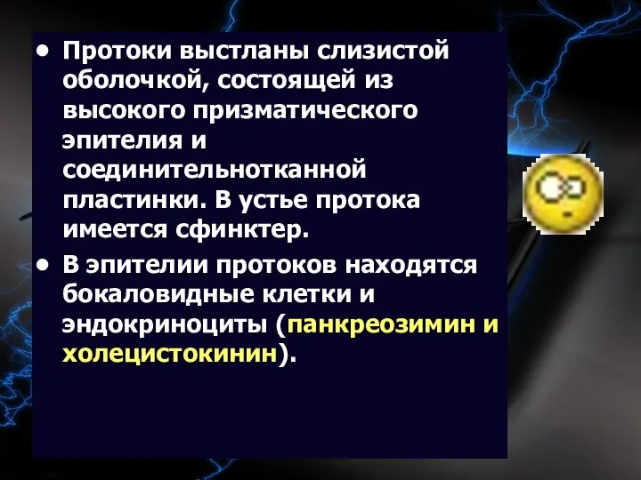 09/02/2023 Протоки выстланы слизистой оболочкой, состоящей из высокого призматического эпителия и