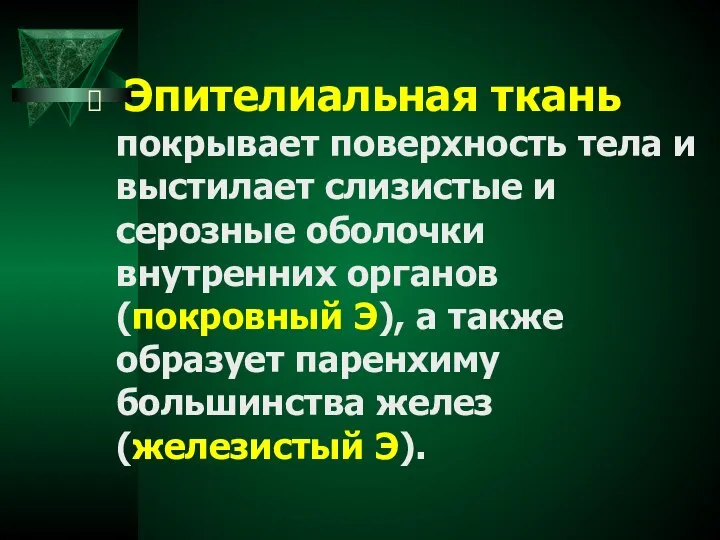 Эпителиальная ткань покрывает поверхность тела и выстилает слизистые и серозные оболочки