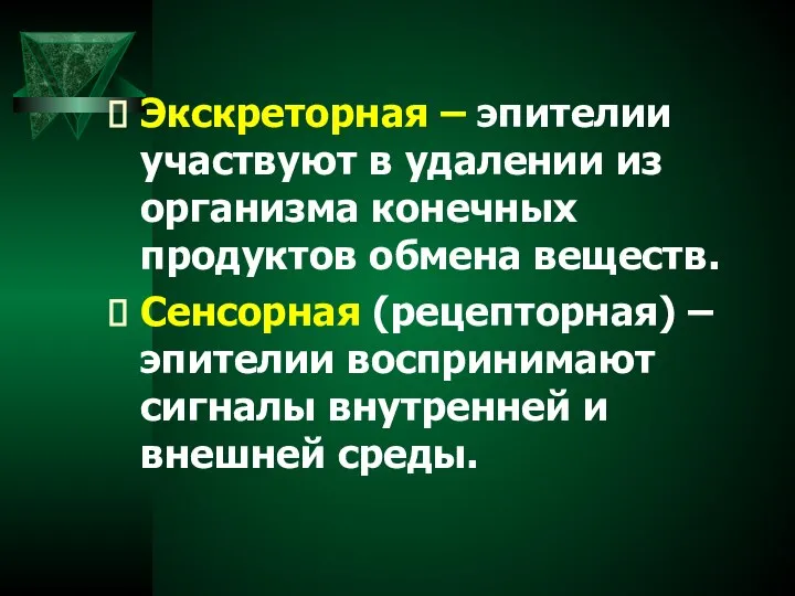 Экскреторная – эпителии участвуют в удалении из организма конечных продуктов обмена