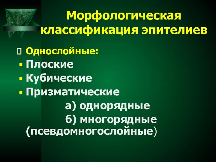 Морфологическая классификация эпителиев Однослойные: Плоские Кубические Призматические а) однорядные б) многорядные (псевдомногослойные)