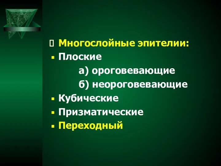 Многослойные эпителии: Плоские а) ороговевающие б) неороговевающие Кубические Призматические Переходный