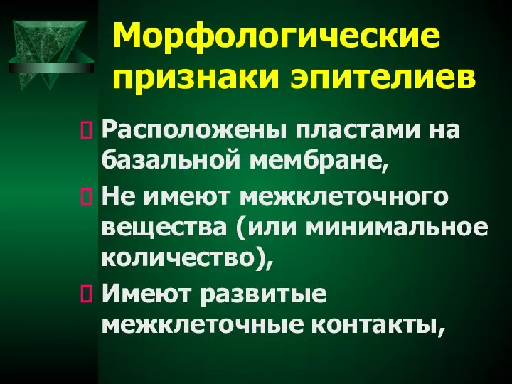 Морфологические признаки эпителиев Расположены пластами на базальной мембране, Не имеют межклеточного