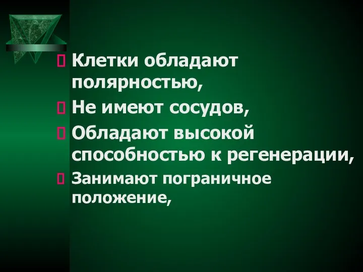 Клетки обладают полярностью, Не имеют сосудов, Обладают высокой способностью к регенерации, Занимают пограничное положение,