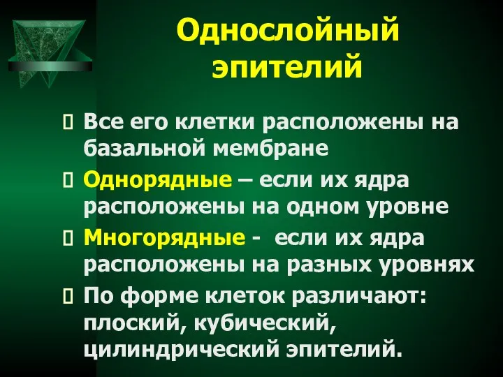 Однослойный эпителий Все его клетки расположены на базальной мембране Однорядные –