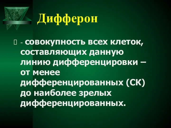 Дифферон - совокупность всех клеток, составляющих данную линию дифференцировки – от