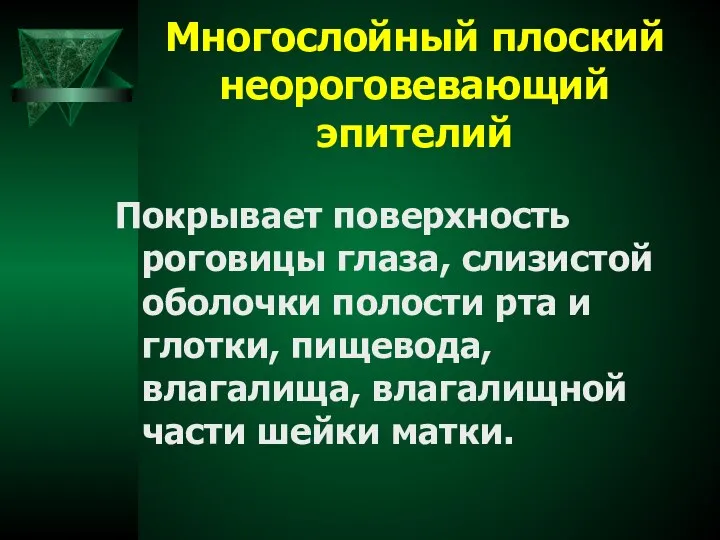 Многослойный плоский неороговевающий эпителий Покрывает поверхность роговицы глаза, слизистой оболочки полости