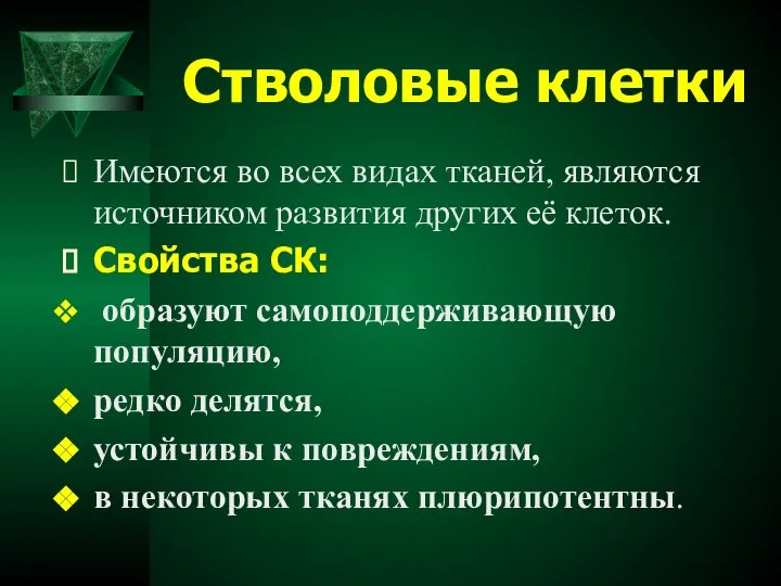 Стволовые клетки Имеются во всех видах тканей, являются источником развития других