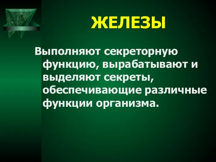 ЖЕЛЕЗЫ Выполняют секреторную функцию, вырабатывают и выделяют секреты, обеспечивающие различные функции организма.