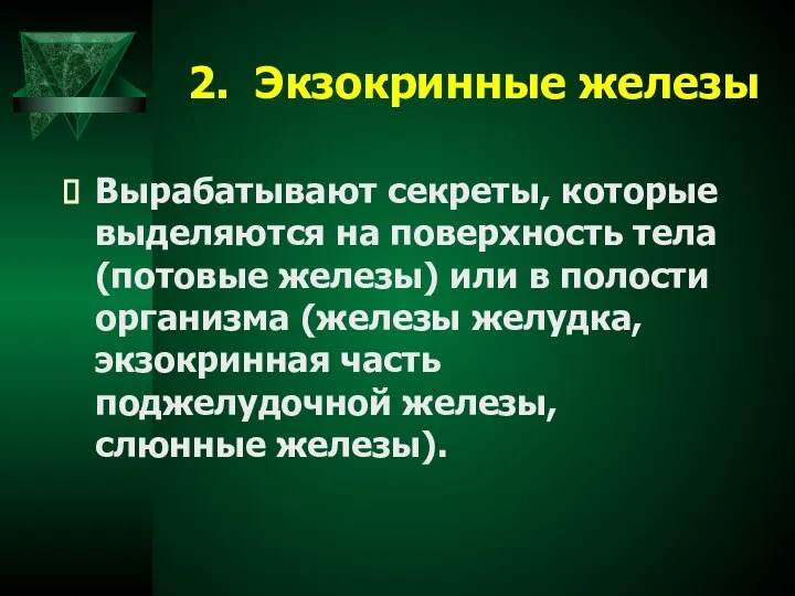 2. Экзокринные железы Вырабатывают секреты, которые выделяются на поверхность тела (потовые