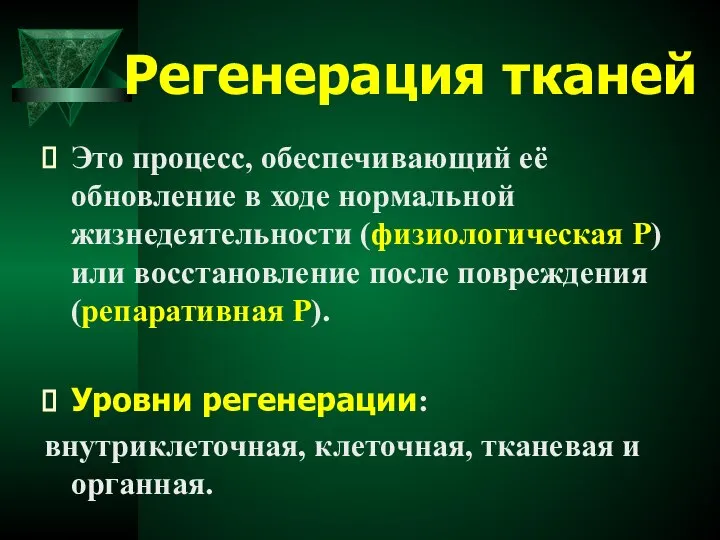 Регенерация тканей Это процесс, обеспечивающий её обновление в ходе нормальной жизнедеятельности