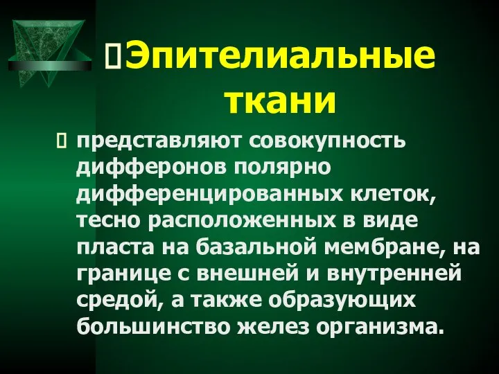 Эпителиальные ткани представляют совокупность дифферонов полярно дифференцированных клеток, тесно расположенных в