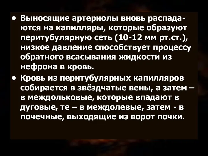 Выносящие артериолы вновь распада-ются на капилляры, которые образуют перитубулярную сеть (10-12